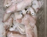 Hình bước làm 1 của món Mực xào tỏi 🦑🦑