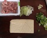 麻婆豆腐(板豆腐版)的食譜步驟1照片