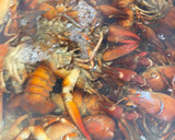 Foto del paso 1 de la receta: Cangrejos de río en salsa