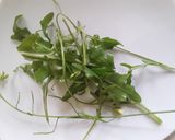 Foto del paso 3 de la receta: Frituras de berenjena