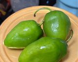 Foto langkah ke 3 dari resep Oseng Tongkol Terong Cabe Gendot.