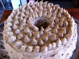 Coffee Cake with Raisin