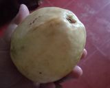 Foto langkah ke 1 dari resep Jus jambu biji merah.
