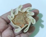 A picture of step 3 of 326. Chicken and Shrimp Siomay Dumplings (Topped with Carrot and Button Mushrooms).