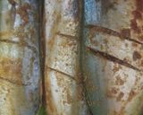 Foto langkah ke 1 dari resep Ikan Bakar Jimbaran.