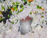 Foto del paso 1 de la receta: Empanadilla de carne