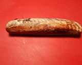 Foto del paso 8 de la receta: Solomillo de bonito a la plancha, con jengibre rosa encurtido.