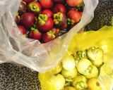 Hình bước làm 1 của món Gỏi gà măng cụt