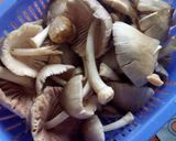 Foto langkah ke 1 dari resep Kulat sawit (jamur sawit).