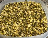 A picture of step 1 of Sprouted Green gram/green moong paratha.