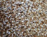 ફણગાવેલા મઠનું શાક(Sprouted moth sabji recipe in Gujarati) રેસીપી સ્ટેપ1ફોટો