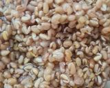 Foto del paso 2 de la receta: Semillas de fenogreco (alholva): infusión y galletas tipo crackers🥠 2 recetas en una