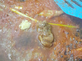 3K (Kering, Kentang, Kacang)