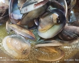 Foto del paso 5 de la receta: Acelgas con almejas y especias