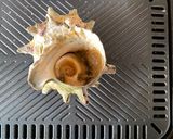 A picture of step 1 of Roasted Turban Shell.