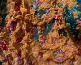 Foto langkah ke 3 dari resep Ayam Woku/Kemangi pedas.
