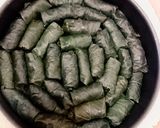عکس مرحله 15 از دستور دلمه برگ مو