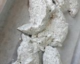 Pas rețetă Prăjitură foi cu mac și crema de vanilie 1 fotografie