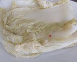 Foto del paso 5 de la receta: Dumplings de col china
