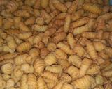Foto langkah ke 7 dari resep Kue bawang (kerupuk bawang).
