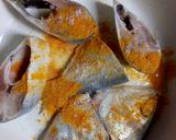ইলিশ কাসুন্দি ( ilish kasundi rec রেসিপির ধাপ 1 ছবি