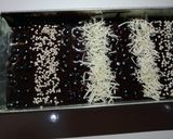 Foto langkah ke 6 dari resep Fudgy Brownies.