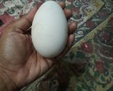 Foto langkah ke 4 dari resep Telur gulung jumbo.
