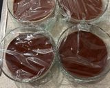 Foto del paso 5 de la receta: Pudding de caqui y cacao