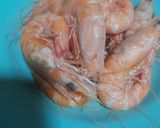 รูปขั้นตอนการทำที่ 1 ของ ข้าวกุ้งแกะ