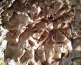 Foto del paso 6 de la receta: Tarta de manzana y merengue