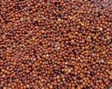 A picture of step 1 of Super Healthy Sprouted Ragi Dosa.