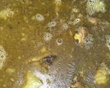 Foto langkah ke 4 dari resep Gulai Kepala Kambing.