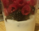 Foto del paso 1 de la receta: Smoothie de mora y frambuesa