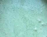 Foto del paso 2 de la receta: Espagueti verde con cilantro