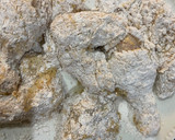 Foto del paso 4 de la receta: Pollo frito estilo KFC