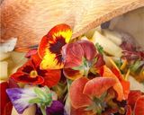 Foto del passaggio 1 della ricetta Composta di viole al miele