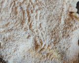 Foto del paso 2 de la receta: Milanesas veganas de gírgolas