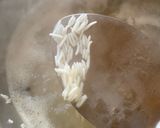 A picture of step 7 of Mutton Kaleji Biryani.