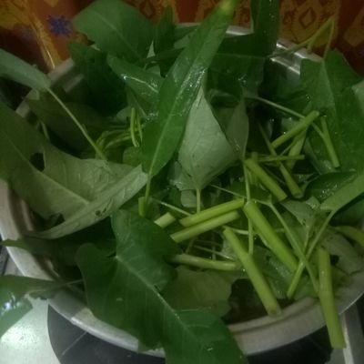 Langkah 5