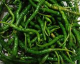 Foto langkah ke 1 dari resep Sayur Lombok / Jangan Lombok (Gunung Kidul).