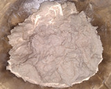 Foto del paso 4 de la receta: Pan Amasado Multi UsosSin Gluten