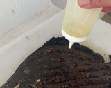 Foto del paso 4 de la receta: Rodaballo a la barbacoa