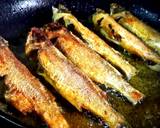 Shorshe Posto Parshe/Mullet fish in mustard poppy seed paste recipe step 1 photo