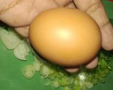Foto langkah ke 1 dari resep 270. Risol Isi Tahu Sederhana.