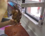 【影片】氣炸紅燒乳鴿【老娘的草根飯堂】的食譜步驟4照片