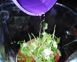 Foto del paso 3 de la receta: Salsa roja
