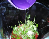Foto del paso 3 de la receta: Salsa roja