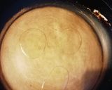 Foto del paso 4 de la receta: Panqueques de dulce de leche