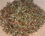 முளைக்கட்டிய பயிர் டகோஸ் சாட் (Sprouts tacos chaat recipe in tamil) ரெசிபி ஸ்டேப் 1 புகைப்படம்