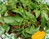 Foto langkah ke 7 dari resep 460. Pindang Tongkol Masak Kemangi #PekanInspirasi #BikinRamada.